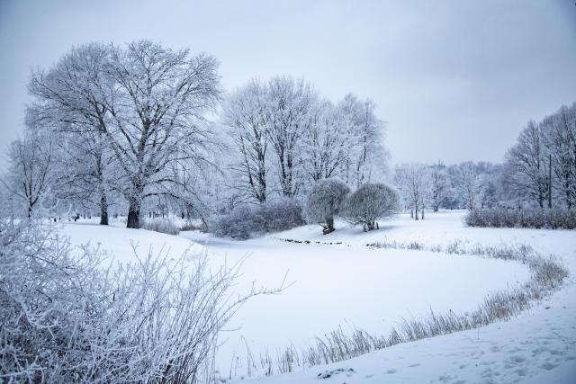 (260121) -- RIGA, Jan. 21, 2026 (Xinhua) -- Photo taken on Jan. 21, 2026 shows rime scenery in a park in Riga, Latvia. (Photo by Edijs Palens/Xinhua)