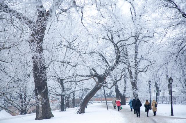 (260121) -- RIGA, Jan. 21, 2026 (Xinhua) -- People walk under frost-covered trees in a park in Riga, Latvia, Jan. 21, 2026. (Photo by Edijs Palens/Xinhua)