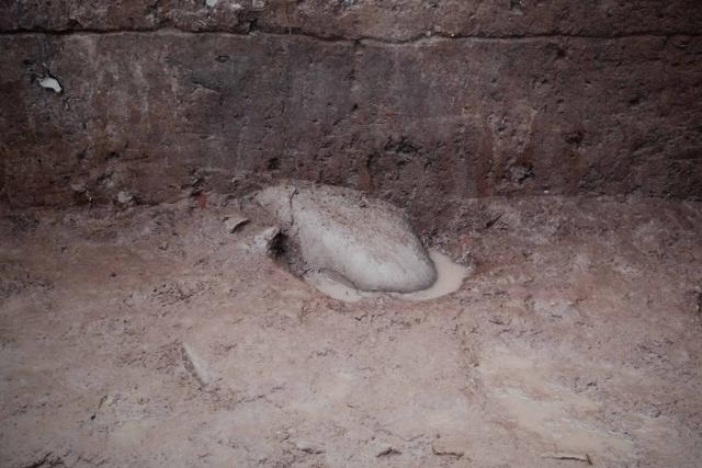 (260122) -- MA'ANSHAN, Jan. 22, 2026 (Xinhua) -- This copy of a file photo rephotographed on Dec. 25, 2025 shows a jade pig unearthed at the Lingjiatan relics site in 2007. The Lingjiatan relics site in east China's Anhui is a Neolithic settlement dating back 5,300 to 5,800 years, with an area of about 1.6 million square meters. 
  Since its discovery in 1985, 17 excavations have been carried out on Lingjiatan. More than 4,000 exquisite relics such as jade wares, stone artifacts and potteries have been unearthed from the site.
  Archaeologists believe that Lingjiatan predates Liangzhu Culture, a testament to the 5,000-year-old Chinese civilization, and has a successive relationship with it. (Xinhua/Zhang Duan)