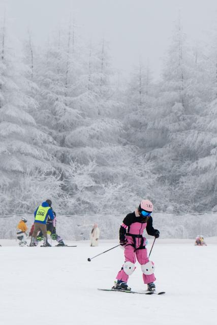 (260122) -- SHENNONGJIA, Jan. 22, 2026 (Xinhua) -- Tourists ski at a ski resort in Shennongjia Forestry District, central China's Hubei Province, Jan. 20, 2026. In recent years, Hubei Province has leveraged its strategic location as a transportation hub connecting nine provinces, tapping into its unique ice and snow resources to vigorously develop the ice and snow tourism industry. Multiple locations in Hubei have become well-known ice and snow tourism destinations, attracting numerous tourists to experience the joys of winter sports. (Xinhua/Du Zixuan)