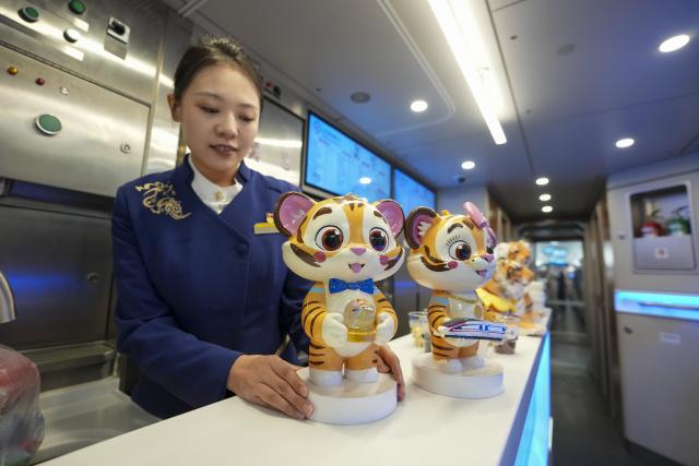 (260122) -- HARBIN, Jan. 22, 2026 (Xinhua) -- A train attendant displays Siberian Tiger figurines on bullet train G902 from Harbin, northeast China's Heilongjiang Province, to Beijing, capital of China, on Jan. 22, 2026. The Beijing-Harbin high-speed railway marked the 5th anniversary of its full operation on Thursday. At 1,198 kilometers, the rail line links China's northeastern provinces of Liaoning, Jilin and Heilongjiang with the capital Beijing. (Xinhua/Wang Song)