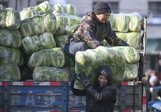 (260122) -- URUMQI, Jan. 22, 2026 (Xinhua) -- Staff members transfer bags of vegetables at a market in Saybag District of Urumqi, northwest China's Xinjiang Uygur Autonomous Region, on Jan. 21, 2026. A cold wave has swept across the region in recent days, with temperatures in parts of Altay Prefecture dropping to minus 47 degrees Celsius. Amid strong winds and snow, local authorities in charge of transport and energy sectors have coordinated their efforts to ensure uninterrupted heating service and daily supplies for the residents. (Xinhua/Wang Fei)