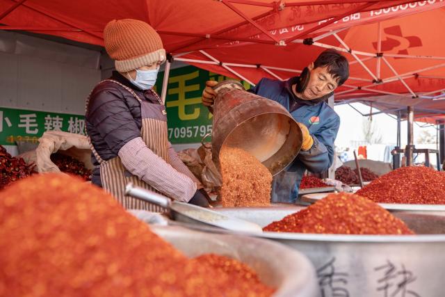 (260122) -- YINCHUAN, Jan. 22, 2026 (Xinhua) -- Vendors prepare chili powder at the Jingui Market in Helan County of Yinchuan, northwest China's Ningxia Hui Autonomous Region, Jan. 21, 2026.
  Established in 1957, the Jingui Market spans nearly 50 mu (about 3.33 hectares) and accommodates more than 400 vendors dealing a wide range of goods that range from clothing and groceries to fresh produce and daily necessities. 
  As a business hub for more than 20 neighboring villages, it facilitates both daily shopping and local agricultural trade. (Xinhua/Yang Zhisen)