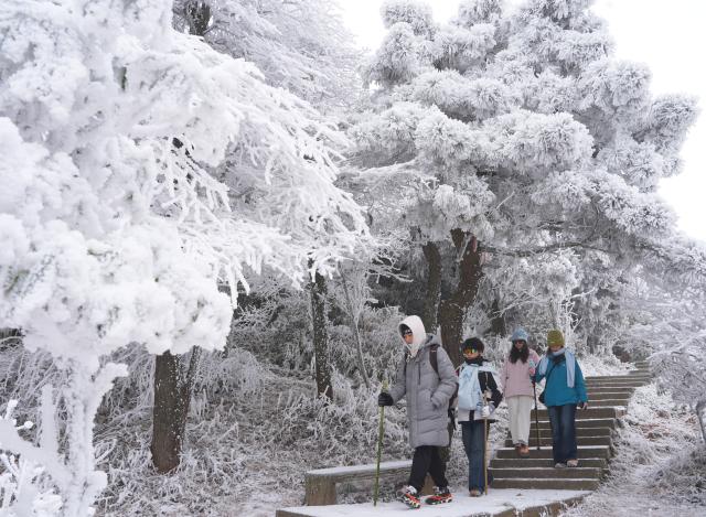 (260122) -- HENGYANG, Jan. 22, 2026 (Xinhua) -- Tourists view the rime scenery at the Hengshan Mountain scenic spot in Hengyang City, central China's Hunan Province, Jan. 22, 2026. (Photo by Cao Zhengping/Xinhua)