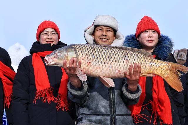 (260123) -- TONGJIANG, Jan. 23, 2026 (Xinhua) -- A man of the Hezhe ethnic group (C) poses for a photo with a fish he caught during a winter fishing festival in Jiejinkou Hezhe Ethnic Township, Tongjiang City, northeast China's Heilongjiang Province, on Jan. 23, 2026. The event, held on a frozen lake, is part of the province's winter fishing events. It integrates traditional Hezhe fishing and hunting culture with folk sports, offering visitors an immersive experience of the icy landscape and unique Hezhe customs. (Photo by Liu Wanping/Xinhua)