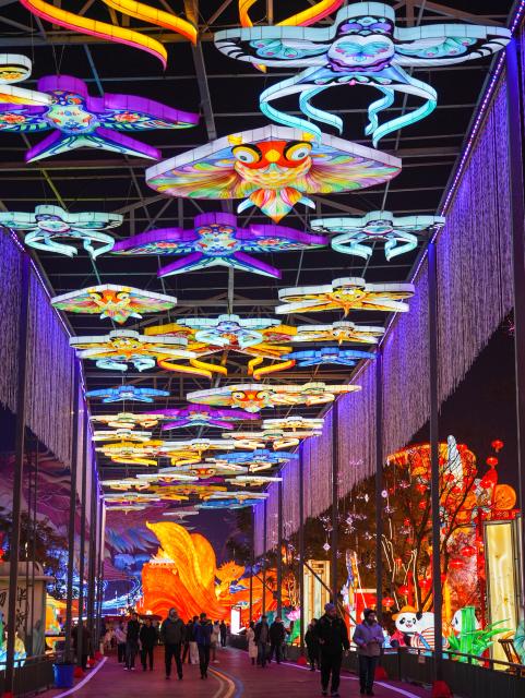 (260123) -- ZIGONG, Jan. 23, 2026 (Xinhua) -- Tourists visit the 32nd Zigong International Dinosaur Lantern Show in Zigong, southwest China's Sichuan Province, Jan. 23, 2026. All lanterns displayed at the show were lit up on Friday evening. This year's show features 11  groups of large light sets and more than 200 groups of small and medium-sized light sets. (Xinhua/Wang Xi)