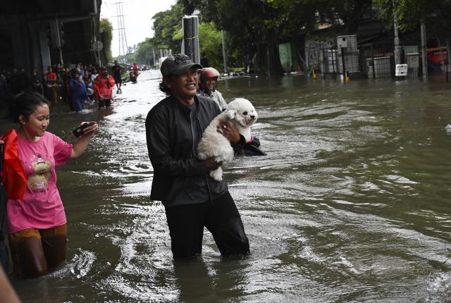 (260123) -- JAKARTA, Jan. 23, 2026 (Xinhua) -- A man holds his dog through floodwaters in Jakarta, Indonesia, Jan. 23, 2026. (Xinhua/Zulkarnain)