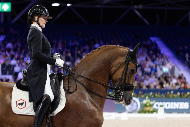 (260124) -- AMSTERDAM, Jan. 24, 2026 (Xinhua) -- Thamar Zweistra of the Netherlands rides her horse during the Federation Equestre International (FEI) Dressage World Cup at Jumping Amsterdam 2026 in Amsterdam, the Netherlands, Jan. 23, 2026. The 65th edition of Jumping Amsterdam, one of Europe's premier equestrian events, took place from Jan. 22 to 25 at the RAI Amsterdam Convention Centre. (Photo by Sylvia Lederer/Xinhua)