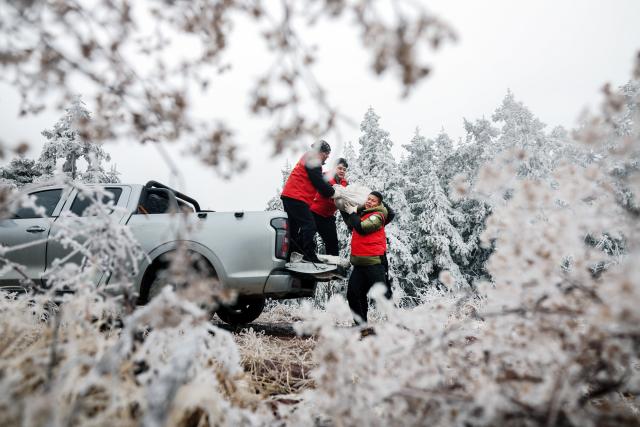 (260124) -- BEIJING, Jan. 24, 2026 (Xinhua) -- Government workers deliver supplies to local residents as cold waves hit Haiyang Town, Lingchuan County, south China's Guangxi Zhuang Autonomous Region, Jan. 22, 2026. (Photo by Liu Jiaoqing/Xinhua)