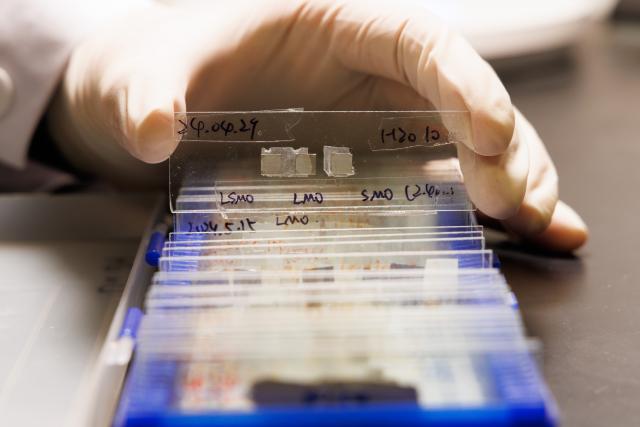 (260124) -- BEIJING, Jan. 24, 2026 (Xinhua) -- This photo taken on Jan. 21, 2026 shows a sample of ferroelectric capacitor at a laboratory of the Institute of Physics at the Chinese Academy of Sciences, Beijing, capital of China. Chinese researchers recently made a breakthrough in ferroelectric materials that promises to dramatically increase information storage density. 
   The research team from the Institute of Physics at the Chinese Academy of Sciences, successfully identified one-dimensional charged domain walls within a fluorite-structured ferroelectric material. 
   These walls are tiny, with both thickness and width measuring just a few hundred-thousandths of the diameter of a human hair. This discovery, notably, provides a scientific basis for developing next-generation ultra-high-density devices.
   Their findings were on Friday published in the journal Science. (Xinhua/Jin Liwang)