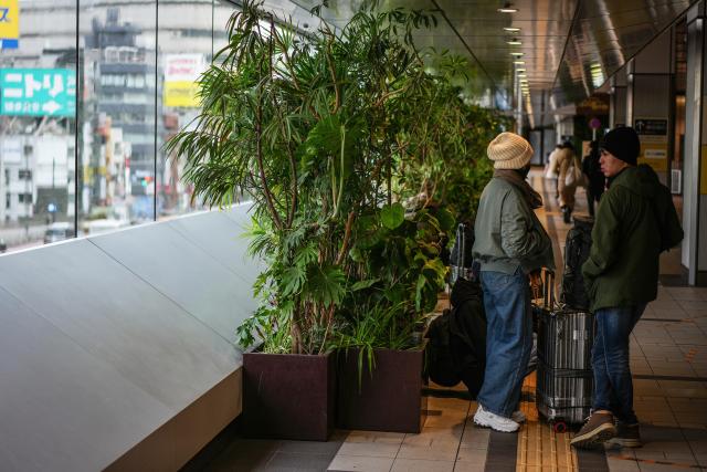 (260124) -- TOKYO, Jan. 24, 2026 (Xinhua) -- Tourists wait at a transportation hub near Shinjuku Station in Tokyo, Japan, Jan. 20, 2026. The number of visitors from the Chinese mainland to Japan plunged 45.3 percent from a year earlier in December 2025, official data showed.
   Tourists from the Chinese mainland fell to about 330,400 people in December 2025, the Japan National Tourism Organization (JNTO) said on Wednesday. (Xinhua/Jia Haocheng)