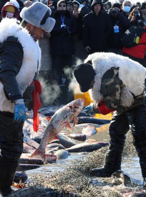 (260124) -- SHENYANG, Jan. 24, 2026 (Xinhua) -- Workers catch fish at Wolong Lake in Kangping County of Shenyang, northeast China's Liaoning Province, Jan. 24, 2026. A winter fishing event began here on Saturday, featuring performances, fish cuisine, and ice and snow recreational facilities. (Xinhua/Han He)