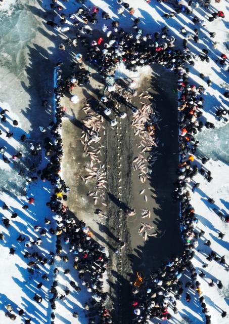 (260124) -- SHENYANG, Jan. 24, 2026 (Xinhua) -- An aerial drone photo taken on Jan. 24, 2026 shows people watching a fish-catching activity at Wolong Lake in Kangping County of Shenyang, northeast China's Liaoning Province. A winter fishing event began here on Saturday, featuring performances, fish cuisine, and ice and snow recreational facilities. (Xinhua/Li Gang)