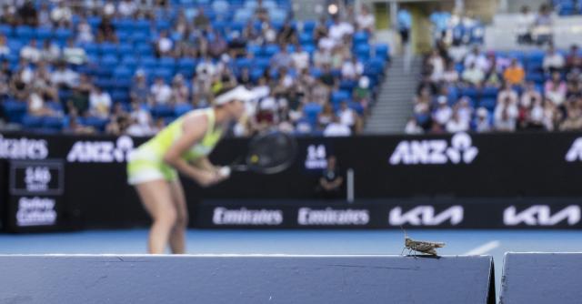 (260124) -- MELBOURNE, Jan. 24, 2026 (Xinhua) -- Linda Noskova competes during the women's singles 3rd round match between Wang Xinyu of China and Linda Noskova of the Czech Republic at the Australian Open 2026 tennis tournament in Melbourne, Australia, Jan. 24, 2026. (Photo by Hu Jingchen/Xinhua)