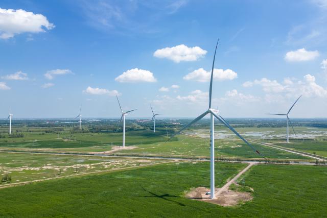 (260125) -- BEIJING, Jan. 25, 2026 (Xinhua) -- An aerial drone photo taken on Aug. 8, 2024 shows the wind turbines at Lamadian Oilfield in Daqing, northeast China's Heilongjiang Province. China is the undisputed global powerhouse in wind energy. From the Gobi to the sea, wind power forms a cornerstone of the country's transition toward a cleaner and more sustainable development model.
   For 15 consecutive years, China has ranked first worldwide in installed wind power capacity. By the end of November 2025, its total installed capacity had exceeded 600 million kilowatts, far exceeding that of any other nation, official data show.
   With vast onshore wind farms across its northern and western regions and rapidly expanding offshore projects along the eastern coastline, China's wind energy not only provides clean electricity to millions of households but also plays a crucial role in reducing carbon emissions.
   Beyond its borders, China has actively shared its green achievements. During the 2021-2025 period, the wind power and photovoltaic products China exported helped reduce around 4.1 billion tons of carbon emissions in other countries, official data show.
   Bolstered by the world's largest renewable energy system, ongoing technological innovation and strong policy support, China is poised to continue international cooperation in advancing the global transition to a green, low-carbon future, contributing to the shared vision of a clean and beautiful world. (Xinhua/Zhang Tao)