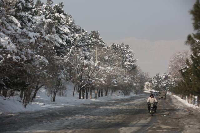 (260125) -- KABUL, Jan. 25, 2026 (Xinhua) -- A man rides a motorcycle in snow-covered Paghman district, Kabul, Afghanistan, Jan. 25, 2026. At least 61 people were killed and 110 others injured due to heavy snowfall and rains across Afghanistan on Wednesday and Thursday, the National Disaster Management Authority (NDMA) said in a statement on Saturday.
   In addition to the human losses, the storms have completely or partially destroyed 458 homes, the NDMA added. (Photo by Saifurahman Safi/Xinhua)