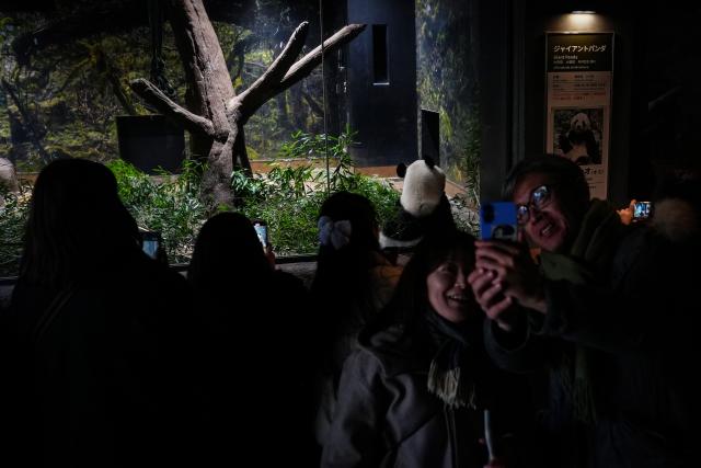 (260125) -- TOKYO, Jan. 25, 2026 (Xinhua) -- Visitors take photos of giant panda Xiao Xiao at Ueno Zoo in Tokyo, Japan, Jan. 25, 2026. Giant pandas Xiao Xiao and Lei Lei, currently residing at a zoo in Tokyo, will depart for China on Jan. 27, marking the first time in about half a century that Japan will be without any pandas, local media reported. (Xinhua/Jia Haocheng)