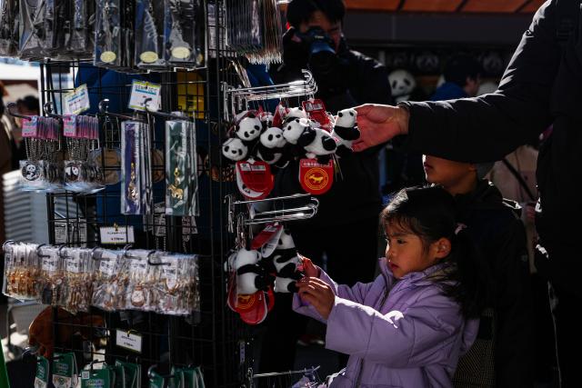 (260125) -- TOKYO, Jan. 25, 2026 (Xinhua) -- Visitors choose souvenirs themed on giant panda at Ueno Zoo in Tokyo, Japan, Jan. 25, 2026. Giant pandas Xiao Xiao and Lei Lei, currently residing at a zoo in Tokyo, will depart for China on Jan. 27, marking the first time in about half a century that Japan will be without any pandas, local media reported. (Xinhua/Jia Haocheng)
