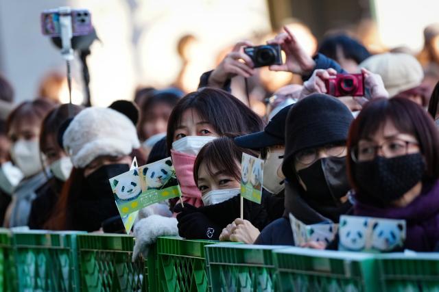 (260125) -- TOKYO, Jan. 25, 2026 (Xinhua) -- Visitors hold banners bearing images of giant pandas Xiao Xiao and Lei Lei at Ueno Zoo in Tokyo, Japan, Jan. 25, 2026. Giant pandas Xiao Xiao and Lei Lei, currently residing at a zoo in Tokyo, will depart for China on Jan. 27, marking the first time in about half a century that Japan will be without any pandas, local media reported. (Xinhua/Jia Haocheng)