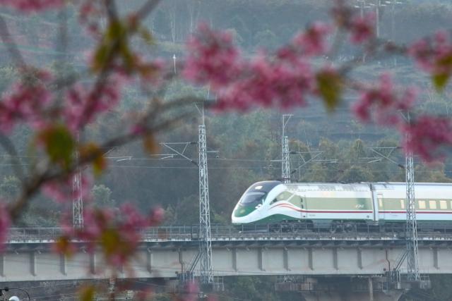 (260125) -- BEIJING, Jan. 25, 2026 (Xinhua) -- A bullet train runs on a section of the China-Laos Railway in Jinghong City of southwest China's Yunnan Province, Jan. 25, 2026. A new train schedule will be put into effect in China from Jan. 26. 2026. (Photo by Li Yunsheng/Xinhua)
