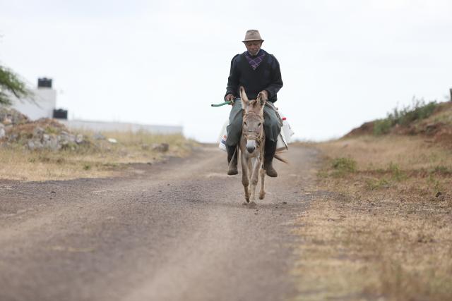 (260125) -- SAO DOMINGOS, Jan. 25, 2026 (Xinhua) -- Cipriano Moniz, 86, rides a donkey along a countryside road in Sao Domingos municipality on Santiago Island, Cape Verde, Jan. 24, 2026. In rural Cape Verde, a family struggles to keep traditional livestock farming alive while sustaining its own livelihood. 
   The family raises goats, pigs and poultry at its ranch, using largely traditional methods, with 86-year-old patriarch Cipriano Moniz passing down the know-how to his son Zeze Moniz and grandson Janilton Moniz.
   The three generations, working side by side, carry on with the family's long-standing practice of animal husbandry on this eastern African Island. (Photo by Elton Monteiro/Xinhua)