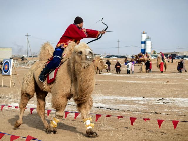(260125) -- DUNDGOVI, Jan. 25, 2026 (Xinhua) -- A participant competes in mounted archery during a camel festival, in Mandalgovi, Dundgovi province, Mongolia, Jan. 25, 2026. The camel festival was held here on Sunday to promote tourism and pass on the camel culture to the next generations.
   Hundreds of camel herders and camels across the nomadic country participated in the two-day festival held in the provincial capital city of Mandalgovi.
   The festival features camel racing, camel polo, camel parade, camel relay races, and an exhibition of camel products. (Photo by Bolortsetseg/Xinhua)