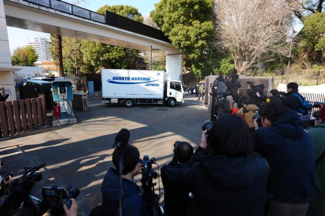 (260127) -- TOKYO, Jan. 27, 2026 (Xinhua) -- The twin pandas Xiao Xiao and Lei Lei depart the Ueno Zoological Gardens by truck in Tokyo, Japan, on Jan. 27, 2026. The last remaining two giant pandas in Japan on Tuesday left Tokyo's Ueno zoo for their return to China, marking the first time that there will be no pandas in Japan in around half a century.
   The twin pandas, Xiao Xiao and Lei Lei, were transported by truck from the Ueno Zoological Gardens to Narita Airport, where they were scheduled to board a flight back to China. (Xinhua/Jia Haocheng)