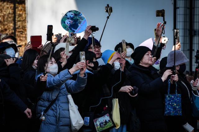 (260127) -- TOKYO, Jan. 27, 2026 (Xinhua) -- Local residents bid farewell to the twin giant pandas Xiao Xiao and Lei Lei outside the Ueno Zoological Gardens in Tokyo, Japan, on Jan. 27, 2026. The last remaining two giant pandas in Japan on Tuesday left Tokyo's Ueno zoo for their return to China, marking the first time that there will be no pandas in Japan in around half a century.
   The twin pandas, Xiao Xiao and Lei Lei, were transported by truck from the Ueno Zoological Gardens to Narita Airport, where they were scheduled to board a flight back to China.
   Xiao Xiao and Lei Lei were born in 2021 to their mother Shin Shin and her mate, Ri Ri, which were returned to China in September 2024. Their elder sister, celebrity giant panda Xiang Xiang, returned to China in February 2023. (Xinhua/Jia Haocheng)