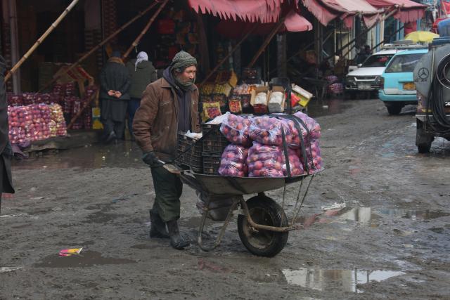 (260127) -- KABUL, Jan. 27, 2026 (Xinhua) -- A vendor transfers fresh fruit in Kabul, Afghanistan, Jan. 27, 2026. Afghanistan's Ministry of Industry and Commerce said that the country exported 317,517 tonnes of fresh fruit over the past year, generating an estimated 142 million U.S. dollars, local media Tolo news reported on Monday. (Photo by Saifurahman Safi/Xinhua)