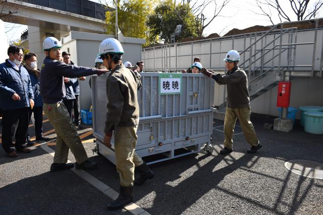 (260127) -- TOKYO, Jan. 27, 2026 (Xinhua) -- Staff members transfer the logistics crate carrying giant panda Xiao Xiao at the Ueno Zoological Gardens in Tokyo, Japan, Jan. 27, 2026. The last remaining two giant pandas in Japan on Tuesday left Tokyo's Ueno zoo for their return to China, marking the first time that there will be no pandas in Japan in around half a century.
   The twin pandas, Xiao Xiao and Lei Lei, were transported by truck from the Ueno Zoological Gardens to Narita Airport, where they were scheduled to board a flight back to China.
   Xiao Xiao and Lei Lei were born in 2021 to their mother Shin Shin and her mate, Ri Ri, which were returned to China in September 2024. Their elder sister, celebrity giant panda Xiang Xiang, returned to China in February 2023. (Tokyo Zoological Park Society/Handout via Xinhua)