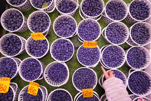 (260127) -- KUNMING, Jan. 27, 2026 (Xinhua) -- Blueberries are pictured at Daguan Zhuanxin farmers' market in Kunming, southwest China's Yunnan Province, Jan. 27, 2026. While preserving the original function of a farmers' market, Daguan Zhuanxin farmers' market has now been upgraded to a complex of cultural experience, dining and entertainment, which offers tourists a window to experience local flavor and vibe. (Xinhua/Chen Xinbo)