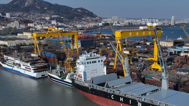 (260127) -- BEIJING, Jan. 27, 2026 (Xinhua) -- A drone photo taken on Jan. 22, 2026 shows vessels under construction at a ship building base in Rongcheng City, east China's Shandong Province. Profits of China's major industrial firms returned to growth in 2025, snapping a three-year streak of declines, with emerging sectors such as equipment manufacturing and high-tech manufacturing serving as major growth drivers.
   Data from the National Bureau of Statistics (NBS) showed on Tuesday that profits for these firms increased 0.6 percent year on year to nearly 7.4 trillion yuan (about 1.06 trillion U.S. dollars) last year, accelerating from a 0.1-percent growth in the January-November period.
   A substantial recovery was evident in December, with these firms posting a 5.3-percent year-on-year profit increase, a sharp turnaround from the 13.1-percent decline recorded in November.
   Major industrial firms refer to those with an annual main business revenue of at least 20 million yuan. (Photo by Wang Fudong/Xinhua)