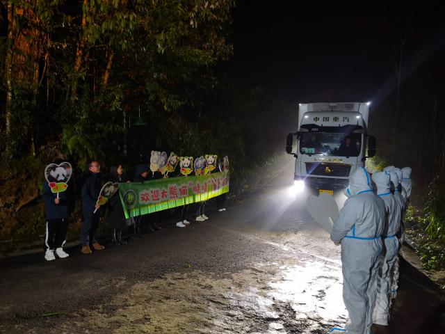 (260128) -- CHENGDU, Jan. 28, 2026 (Xinhua) -- Giant pandas Xiao Xiao and Lei Lei arrive at the Ya'an base of China Conservation and Research Center for the Giant Panda in southwest China's Sichuan Province on Jan. 28, 2026.
  The final two giant pandas in Japan returned to China from a zoo in Tokyo on Wednesday morning, marking the end of over five decades of panda presence in Japan.
  The pair, Xiao Xiao and Lei Lei, arrived at Chengdu in southwest China's Sichuan Province at 1 a.m., before they were sent to the Ya'an base of China Conservation and Research Center for the Giant Panda, where they will be quarantined.
   Xiao Xiao and Lei Lei were born in 2021 to their mother Shin Shin and her mate, Ri Ri, which were returned to China in September 2024. (China Conservation and Research Center for the Giant Panda/Handout via Xinhua)