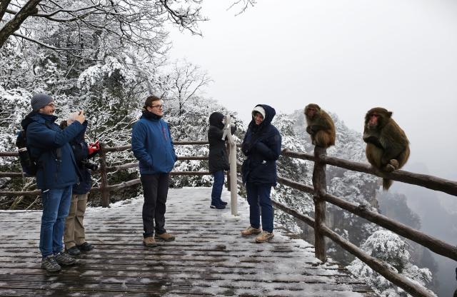 (260128) -- BEIJING, Jan. 28, 2026 (Xinhua) -- Italian tourists visit the Zhangjiajie National Forest Park in central China's Hunan Province, Jan. 2, 2026.
  Fueled by China's expanding visa-free policies, inbound travel surged in 2025, with visa-free entries jumping 49.5 percent year-on-year to nearly 30.1 million, official data showed.
  The National Immigration Administration said on Wednesday that international visitors made over 82 million crossings in total, marking a 26.4 percent year-on-year increase.
  Currently, China offers visa-free entry to citizens of 76 countries. Plus, travelers from 55 countries can take advantage of a 240-hour visa-free transit policy at 65 different entry points. 
  Beyond short-term visits, this openness is fostering a vibrant community of international residents. More scholars, students, and professionals are choosing to live and work in China, deepening people-to-people bonds. China, with much to be explored and a lot more to offer, continues to captivate hearts and minds worldwide. (Photo by Wu Yongbing/Xinhua)