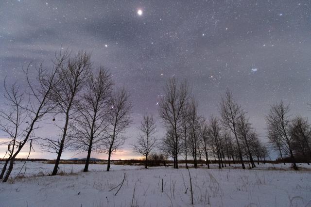 (260128) -- HARBIN, Jan. 28, 2026 (Xinhua) -- This photo taken on Jan. 24, 2026 shows a view of the starry sky in Fujin City, northeast China's Heilongjiang Province. China's northernmost Heilongjiang Province has entered the golden period for winter starry sky observation. With auroras occasionally making an appearance, the brilliant starry sky and the icy landscape together unfold a serene and breathtaking picture. (Photo by Qu Yubao/Xinhua)