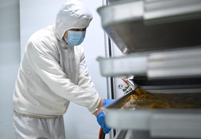(260129) -- PUYANG, Jan. 29, 2026 (Xinhua) -- A staff member injects coffee liquid into trays for freezing at a freeze-drying workshop of a coffee industrial demonstration park in Puyang County, central China's Henan Province, Jan. 27, 2026. In recent years, Puyang County has developed a coffee industrial demonstration park, establishing coffee processing factories and developing a full-industry-chain coffee production system. Sourcing coffee beans primarily from Ethiopia and Uganda, its products are exported to multiple countries, including Singapore and the United States. (Xinhua/Hao Yuan)
