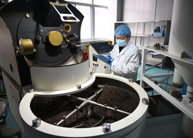 (260129) -- PUYANG, Jan. 29, 2026 (Xinhua) -- A staff member records roasting data of coffee beans at a workshop of a coffee industrial demonstration park in Puyang County, central China's Henan Province, Jan. 27, 2026. In recent years, Puyang County has developed a coffee industrial demonstration park, establishing coffee processing factories and developing a full-industry-chain coffee production system. Sourcing coffee beans primarily from Ethiopia and Uganda, its products are exported to multiple countries, including Singapore and the United States. (Xinhua/Hao Yuan)