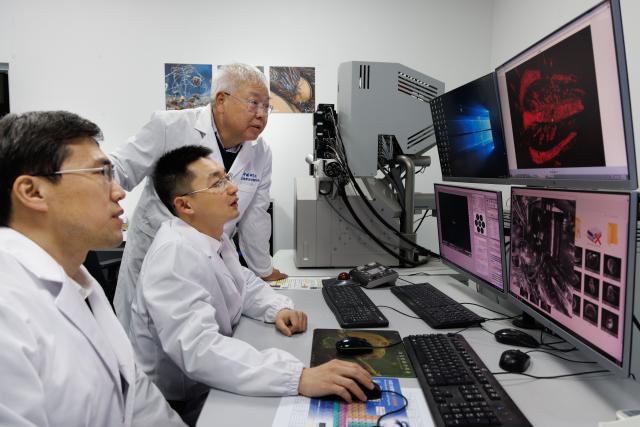 (260129) -- NANJING, Jan. 29, 2026 (Xinhua) -- Researchers Zhu Maoyan (back), Zhao Fangchen (front) and Zeng Han (C) observe a scanned fossil photo at a laboratory of Nanjing Institute of Geology and Palaeontology at the Chinese Academy of Sciences (NIGPAS) in Nanjing, east China's Jiangsu Province, Jan. 22, 2026. TO GO WITH "Across China: Chinese fossil find illuminates Earth's earliest mass extinction" (Xinhua/Jin Liwang)