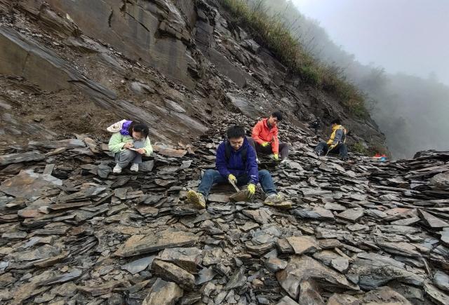 (260129) -- NANJING, Jan. 29, 2026 (Xinhua) -- Research team members collect fossils during their first field work in Mozi Village of Huayuan County, Xiangxi Tujia and Miao Autonomous Prefecture, central China's Hunan Province, April 7, 2021. TO GO WITH "Across China: Chinese fossil find illuminates Earth's earliest mass extinction" (Xinhua)