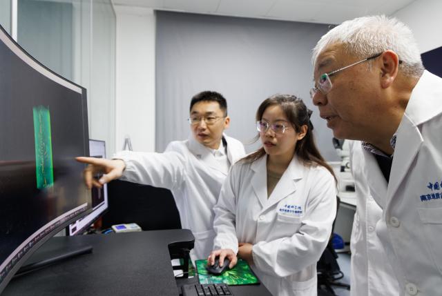 (260129) -- NANJING, Jan. 29, 2026 (Xinhua) -- Researchers Zhu Maoyan (1st, R), Zeng Han (1st, L) and their colleague observe a scanned fossil photo at a laboratory of Nanjing Institute of Geology and Palaeontology at the Chinese Academy of Sciences (NIGPAS) in Nanjing, east China's Jiangsu Province, Jan. 22, 2026. TO GO WITH "Across China: Chinese fossil find illuminates Earth's earliest mass extinction" (Xinhua/Jin Liwang)