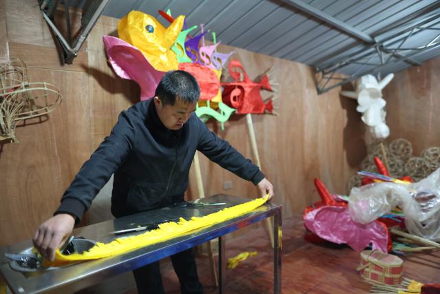(260130) -- SHIQIAN, Jan. 30, 2026 (Xinhua) -- Dai Xin makes Maolong (hairy dragon) latern at his residence in Shiqian County, southwest China's Guizhou Province, Jan. 27, 2026. The "Maolong (hairy dragon) Festival" of Gelao ethnic group is a national-level intangible cultural heritage. Maolong laterns, the theme artifacts of the Maolong Festival, is a school of dragon lanterns unique to Shiqian. 
   A Malong lantern contains a bamboo strip framework, wrapped in skillfully cut colorful paper strips that give it a "hairy" appearance.
   Dai Xin is the national-level inheritor of this craft. His father Dai Shangfu is also a renowned craftsman specialized in Maolong making and Maolong dance. 
   The Dai family, in which the Maolong craft has been passed down for six generations, is among the many guardians of legacies of the Gelao ethnic group. (Xinhua/Liu Xu)