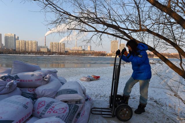 (260130) -- JILIN, Jan. 30, 2026 (Xinhua) -- Wang Tingting transfers bird food on Changbai Island in Jilin City, northeast China's Jilin Province, Jan. 28, 2026. Wang Tingting, a post-90s bird protector, stays every day at Changbai Island wetland park, a bird paradise seated by the Songhua River in Jilin City, to care for the birds--providing food and observing their living conditions.
   In 1996, Wang Tingting's uncle Ren Jianguo dropped his business as a ferryman near Changbai Island, and became a bird keeper as he often saw people hunting birds.
   Wang took over her uncle's job when he was hospitalized for a sudden illness in 2023, and has rescued more than 50 birds on average each year.
   In recent years, local authorities of the city have continuously restored the wetland ecology of Changbai Island. Through a series of effective measures such as dispatching dedicated personnel for bird protection, standardizing viewing activities, strictly controlling sewage discharge, and scientifically restocking, Changbai Island has returned to its natural ecological beauty.
   Nowadays, over 13,000 birds come to Changbai Island for the winter every year. The spectacle of thousands of birds flocking together has become a major attraction for both citizens and tourists. (Xinhua/Zhang Nan)
