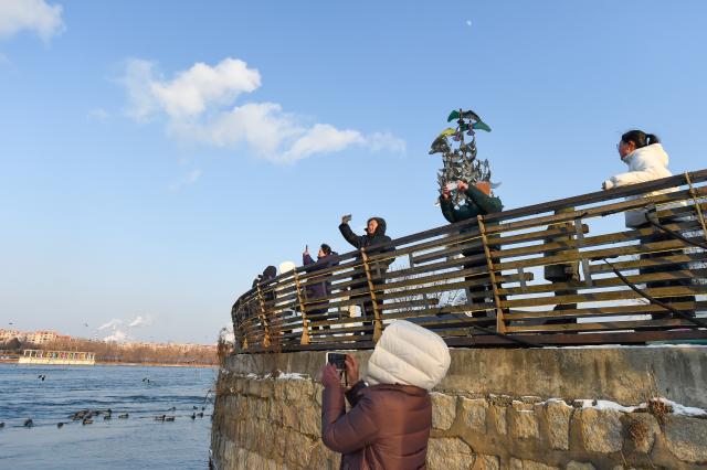 (260130) -- JILIN, Jan. 30, 2026 (Xinhua) -- Tourists go birdwatching on Changbai Island in Jilin City, northeast China's Jilin Province, Jan. 28, 2026. Wang Tingting, a post-90s bird protector, stays every day at Changbai Island wetland park, a bird paradise seated by the Songhua River in Jilin City, to care for the birds--providing food and observing their living conditions.
   In 1996, Wang Tingting's uncle Ren Jianguo dropped his business as a ferryman near Changbai Island, and became a bird keeper as he often saw people hunting birds.
   Wang took over her uncle's job when he was hospitalized for a sudden illness in 2023, and has rescued more than 50 birds on average each year.
   In recent years, local authorities of the city have continuously restored the wetland ecology of Changbai Island. Through a series of effective measures such as dispatching dedicated personnel for bird protection, standardizing viewing activities, strictly controlling sewage discharge, and scientifically restocking, Changbai Island has returned to its natural ecological beauty.
   Nowadays, over 13,000 birds come to Changbai Island for the winter every year. The spectacle of thousands of birds flocking together has become a major attraction for both citizens and tourists. (Xinhua/Zhang Nan)