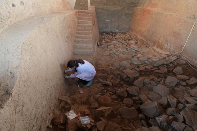 (260131) -- BEIJING, Jan. 31, 2026 (Xinhua) -- A researcher takes soil samples from the southern city wall of the Archaeological Ruins of Liangzhu City in Hangzhou, east China's Zhejiang Province, on April 18, 2025. (Xinhua/Weng Xinyang)