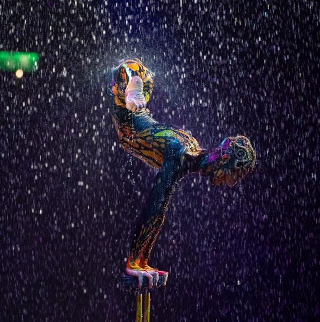 (260131) -- MACAO, Jan. 31, 2026 (Xinhua) -- House of Dancing Water, an aquatic stage production featuring aerial acrobatics and theater technology, is staged in Macao, south China, May 7, 2025.
  TO GO WITH "Feature: A dive into Macao's cultural diversity via award-winning water show" (Xinhua/Cheong Kam Ka)