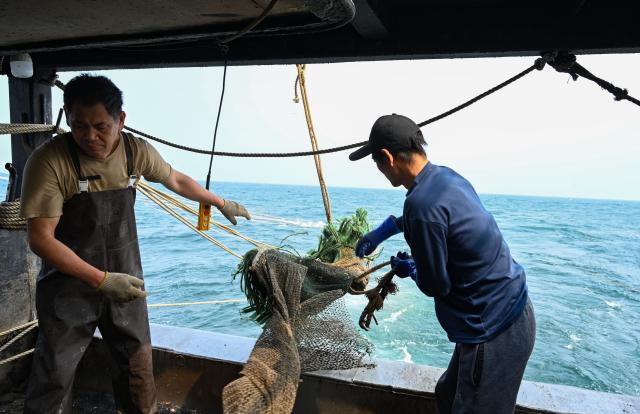 (260131) -- MAOMING, Jan. 31, 2026 (Xinhua) -- Crew members cast a net into the sea on Jan. 28, 2026. As dawn breaks, the Bohe port in Maoming, south China's Guangdong Province, is already a bustling scene. Captain Huang Ningbo and his brother Huang Ninglang steer their fishing vessel, leading the crew to the sea for fishing operations.
   Each fishing expedition is a battle against the sea for freshness. After the procedures of setting nets, hauling them in, sorting the catches, and returning to port, Huang and the crew deliver their freshly harvested seafood to the Bohe port in the early hours of the next morning for market selling. (Xinhua/Xiao Ennan)