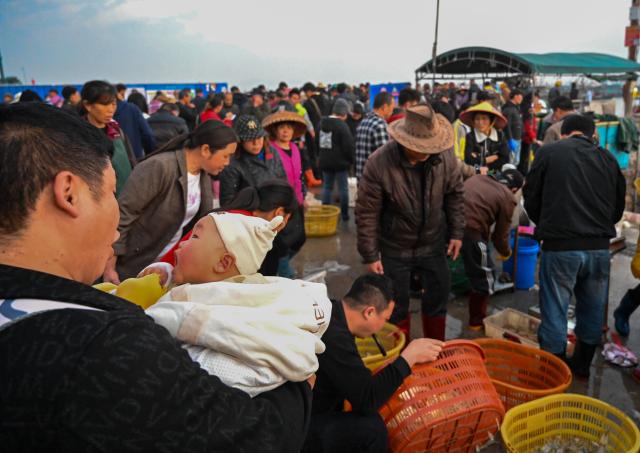 (260131) -- MAOMING, Jan. 31, 2026 (Xinhua) -- People buy seafood at the Bohe port in Maoming, south China's Guangdong Province, Jan. 29, 2026. As dawn breaks, the Bohe port in Maoming, south China's Guangdong Province, is already a bustling scene. Captain Huang Ningbo and his brother Huang Ninglang steer their fishing vessel, leading the crew to the sea for fishing operations.
   Each fishing expedition is a battle against the sea for freshness. After the procedures of setting nets, hauling them in, sorting the catches, and returning to port, Huang and the crew deliver their freshly harvested seafood to the Bohe port in the early hours of the next morning for market selling. (Xinhua/Xiao Ennan)