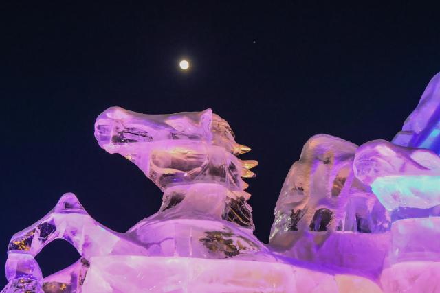 (260131) -- HARBIN, Jan. 31, 2026 (Xinhua) -- This photo taken on Jan. 31, 2026 shows a conjunction of Jupiter and the waxing gibbous moon over the sky of Jiayin County, northeast China's Heilongjiang Province. A conjunction of Jupiter and the waxing gibbous moon appeared over the sky on Saturday. (Photo by Li Shaojun/Xinhua)