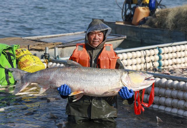 (260131) -- TAIZHOU, Jan. 31, 2026 (Xinhua) -- A fisherman displays a freshly caught fish during a winter fishing event in Taizhou, east China's Jiangsu Province, Jan. 31, 2026. (Photo by Gu Jihong/Xinhua)