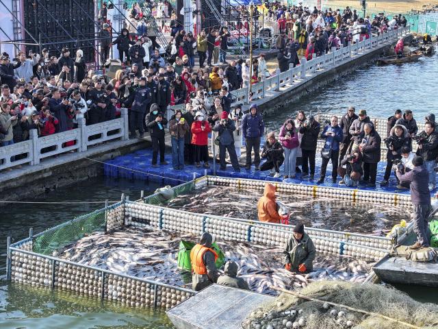(260131) -- TAIZHOU, Jan. 31, 2026 (Xinhua) -- A drone photo shows fishermen fishing during a winter fishing event in Taizhou, east China's Jiangsu Province, Jan. 31, 2026. (Photo by Gu Jihong/Xinhua)